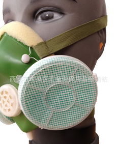 防塵口罩、噴漆防護口罩等勞保用品綜合指南 價格、廠家與選購要點